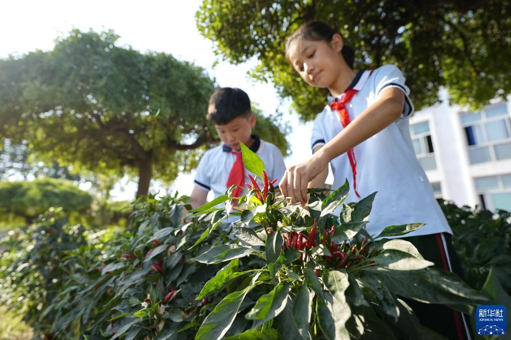 金鲨银鲨哪里有